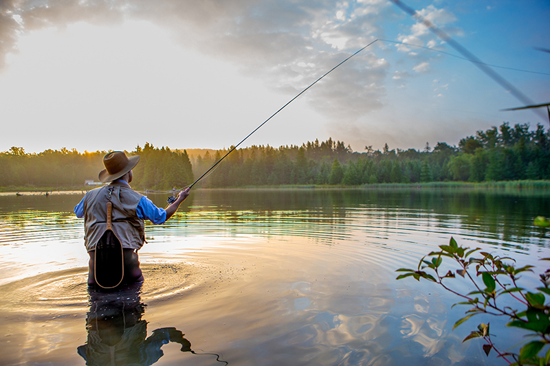 The Art of Fly Fishing: A Beginner's Guide